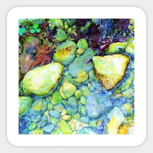 Wet pebbles and leaves, river, water, nature, rain, winter, xmas, fall, leaves, tropical, summer, holidays, art, exotic Sticker